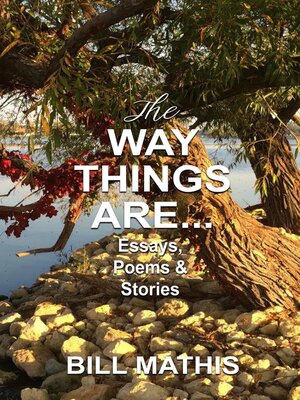 cover image of The Way Things Are